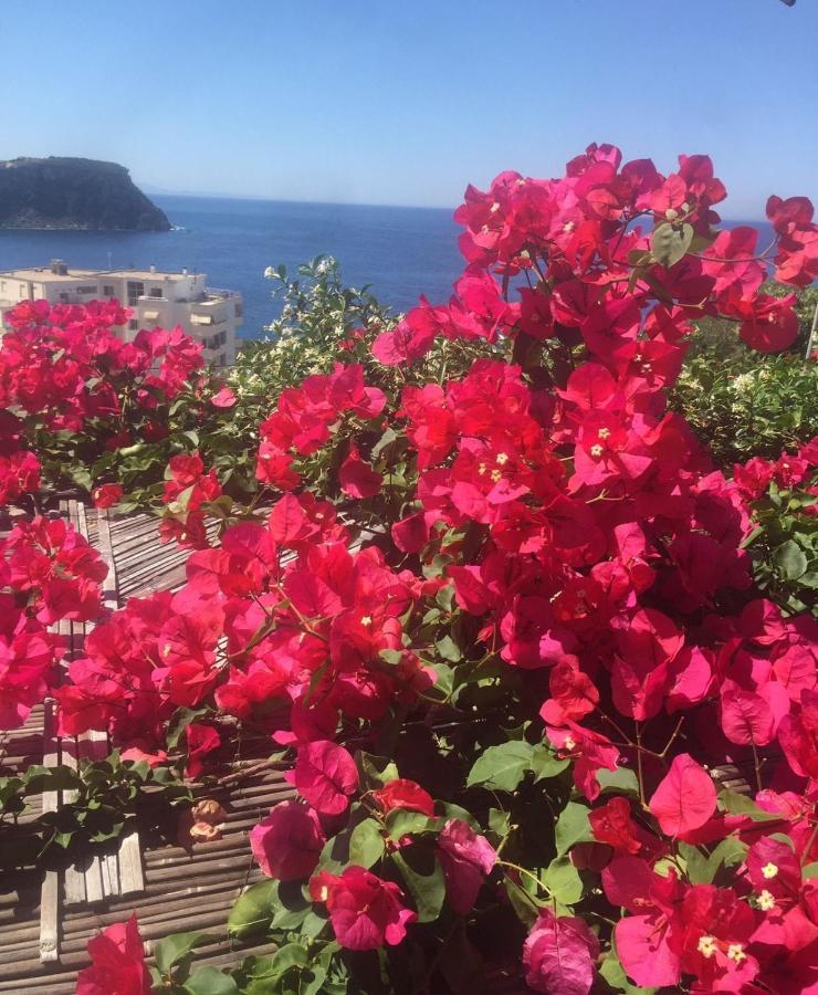 Stefanel View-frederika Holiday home *